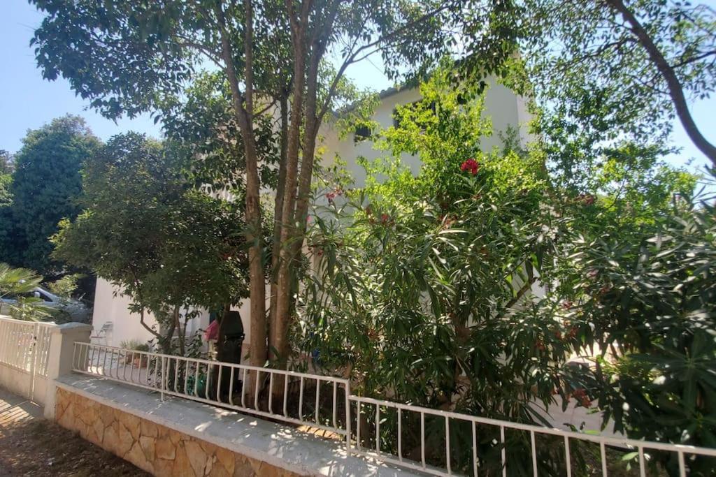 Casa Blanca, Biograd Na Moruアパートメント エクステリア 写真