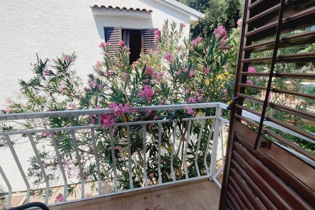 Casa Blanca, Biograd Na Moruアパートメント エクステリア 写真
