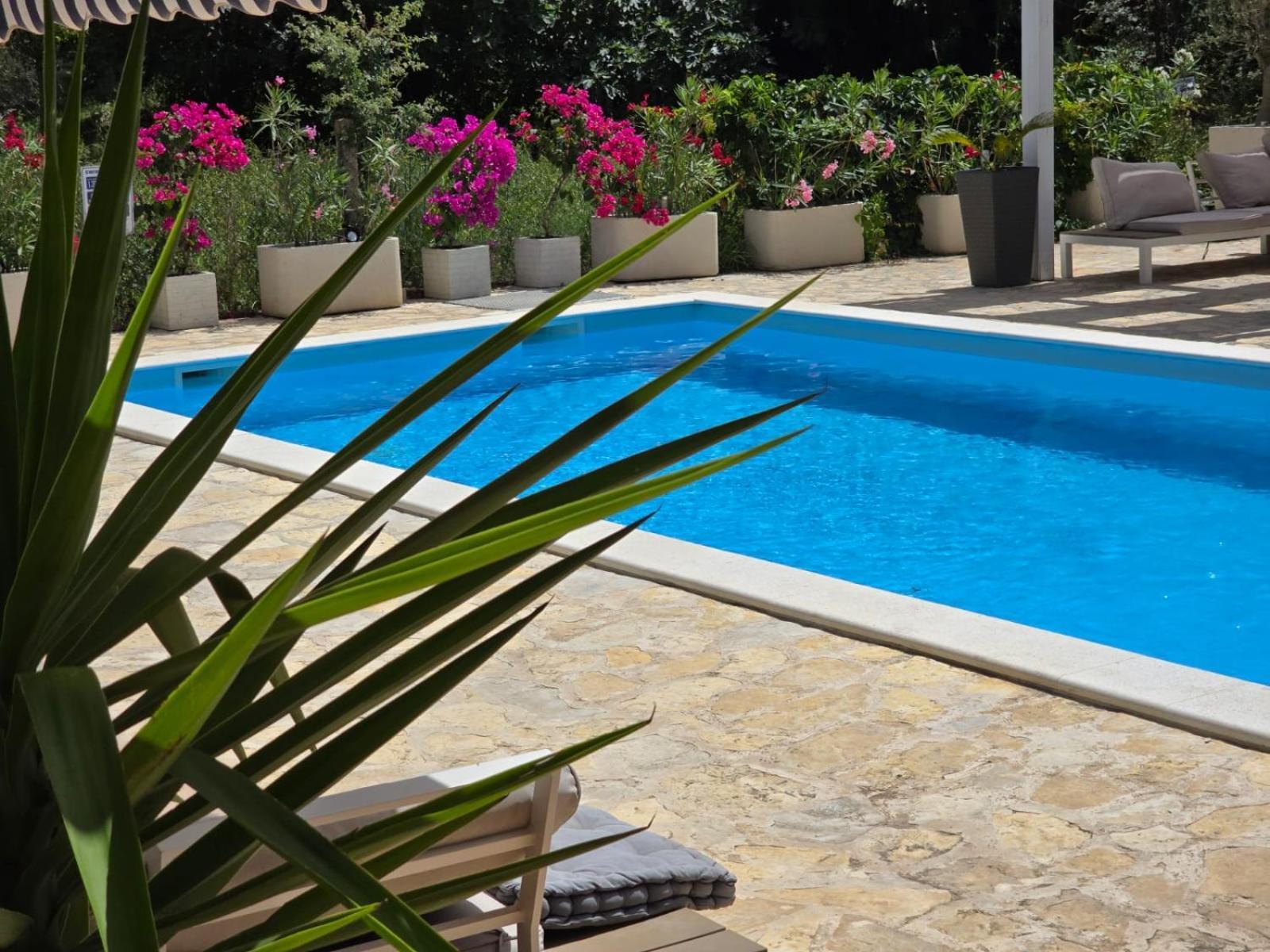 Casa Blanca, Biograd Na Moruアパートメント エクステリア 写真